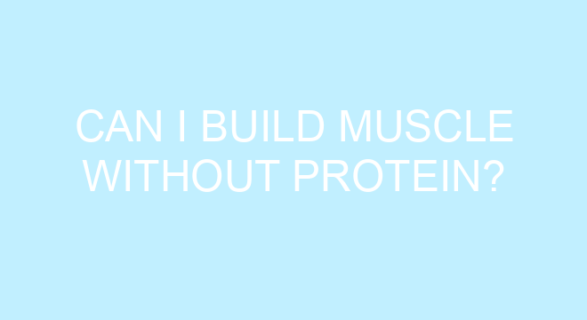 Can I Build Muscle Without Protein can-i-build-muscle-without-protein
