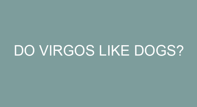 Do Virgos Like Dogs do-virgos-like-dogs