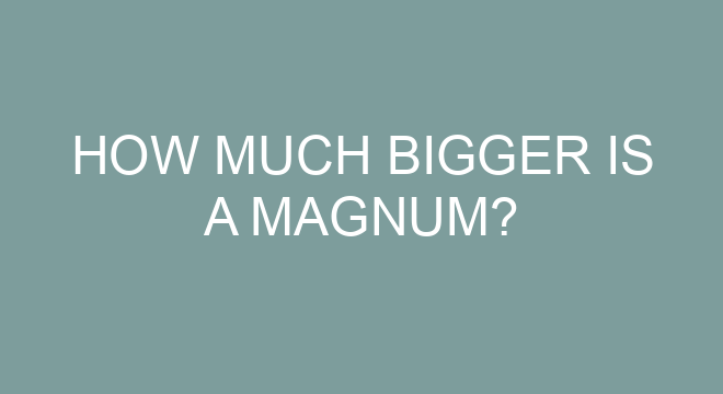 How Much Bigger Is A Magnum how-much-bigger-is-a-magnum