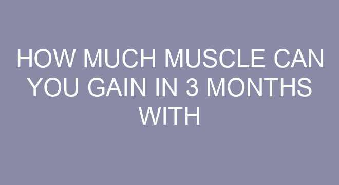How Much Muscle Can You Gain In 3 Months With Creatine how-much-muscle-can-you-gain-in-3-months-with-creatine