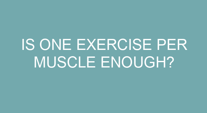 Is One Exercise Per Muscle Enough complete-leg-exercises-muscle-groups-to-workout-leg-and-glute