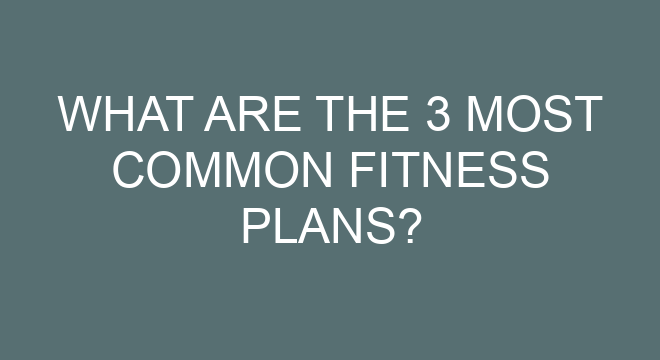 what-are-the-3-most-common-fitness-plans