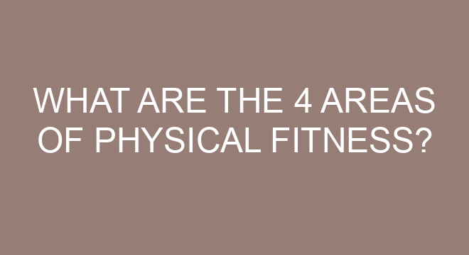 what-are-the-4-areas-of-physical-fitness