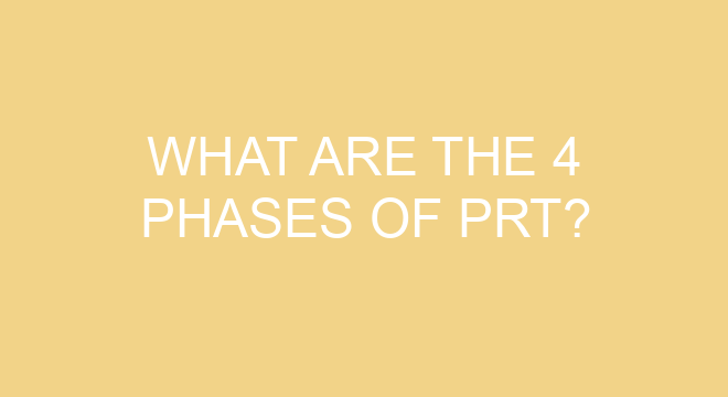what-are-the-4-phases-of-prt