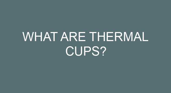 What Are Thermal Cups what-are-thermal-cups