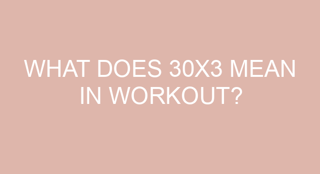 what does 3 sets of 20 mean in workout