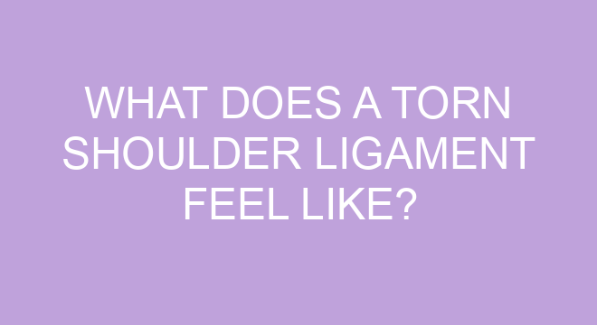What Does A Torn Shoulder Ligament Feel Like What Does A Torn Shoulder Ligament Feel Like