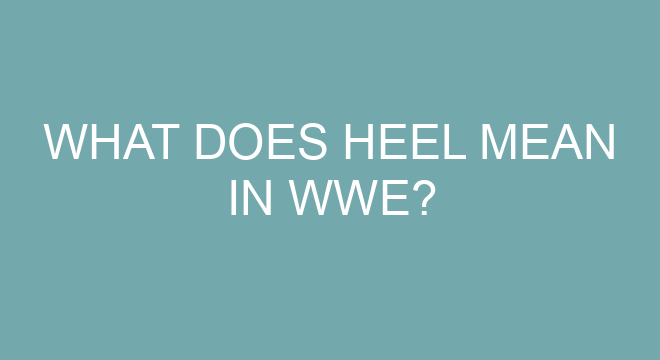 What Does Heel Mean In WWE what-does-heel-mean-in-wwe