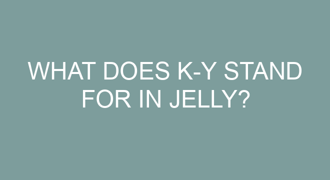 What Does K-Y Stand For In Jel