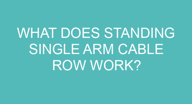 What Does Standing Single Arm Cable Row Work what-does-standing-single-arm-cable-row-work