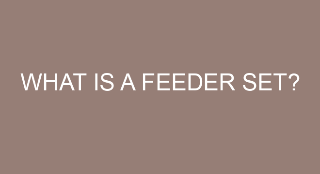 What Is A Feeder Set what-is-a-feeder-set