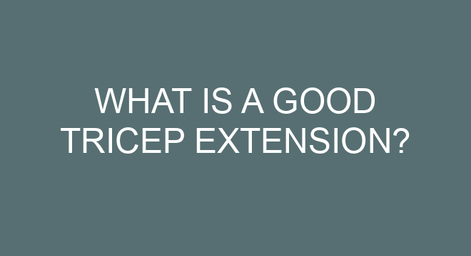 what-is-a-good-tricep-extension
