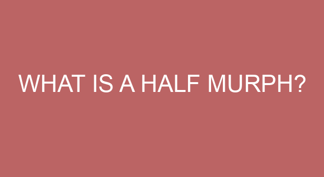 What Is A Half Murph what-is-a-half-murph