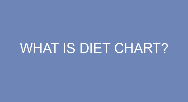 what-is-diet-chart
