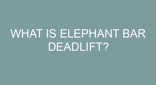 What Is Elephant Bar Deadlift what-is-elephant-bar-deadlift