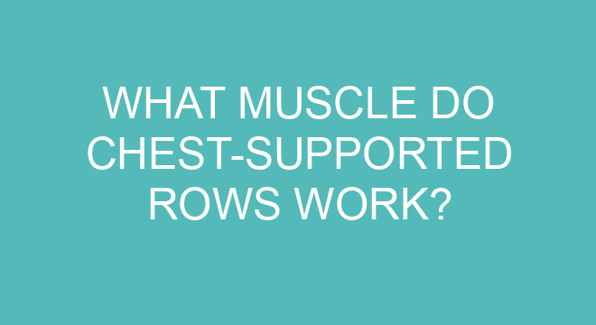 what muscles do chest supported t bar rows work