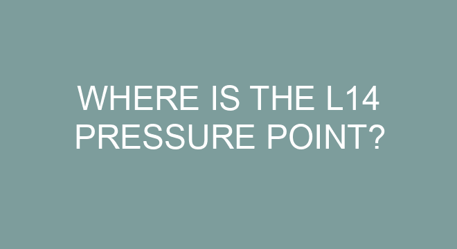 where-is-the-l14-pressure-point