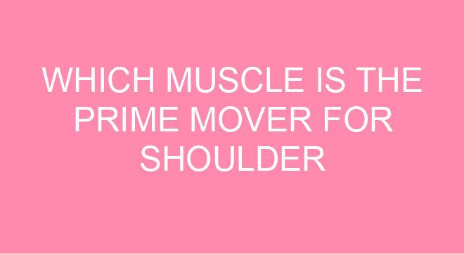 Which Muscle Is The Prime Mover For Shoulder Extension which-muscle-is-the-prime-mover-for-shoulder-extension