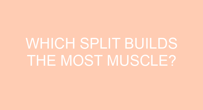 which-split-builds-the-most-muscle