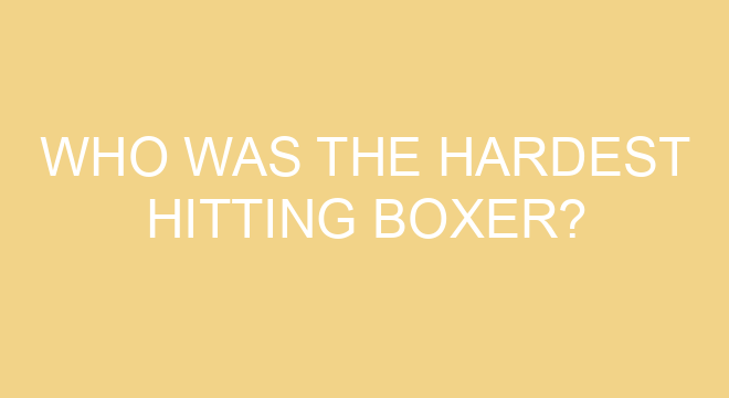 Who Was The Hardest Hitting Boxer?