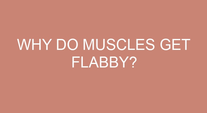 What meat is best for muscle gain?
