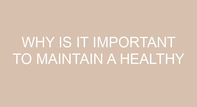Why Is It Important To Maintain A Healthy Lifestyle Essay why-is-it-important-to-maintain-a-healthy-lifestyle-essay