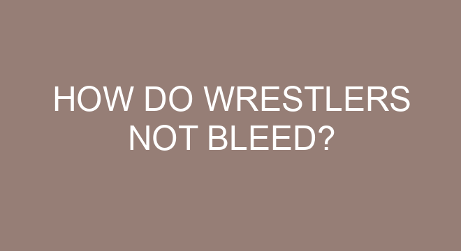 How Do Wrestlers Not Bleed how-do-wrestlers-not-bleed