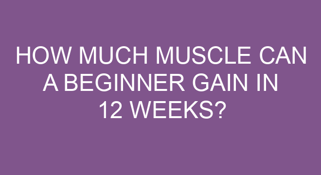 How Much Muscle Can A Beginner Gain In 12 Weeks how-much-muscle-can-a-beginner-gain-in-12-weeks