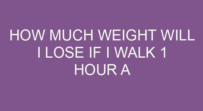 What zone is best for fat burning?