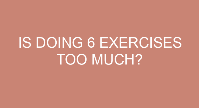 What is a fitness circuit and give 6 examples of fitness activities?