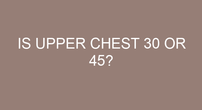 What ab workouts can I do on a bench?