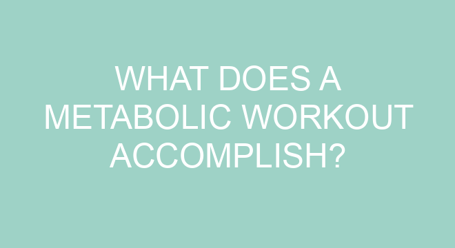 What are the 4 metabolic types?
