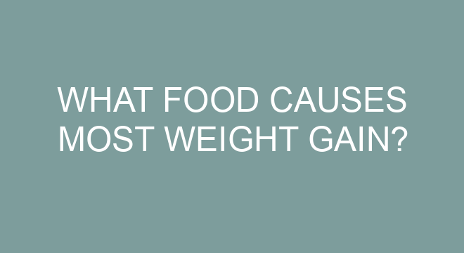what-food-causes-most-weight-gain-thefitnessfaq