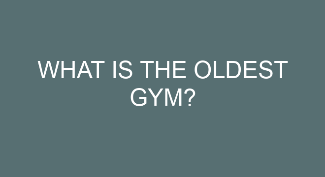 What machines work abs at the gym?