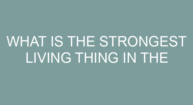 Why do strongest men have big stomachs?