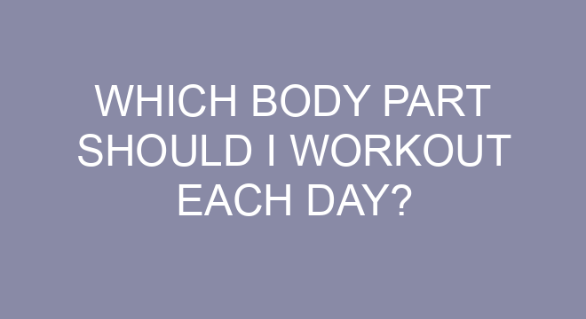 Which Body Part Should I Workout Each Day Which Body Part Should I Workout Each Day