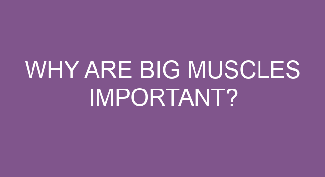 How much volume do rear delts need?