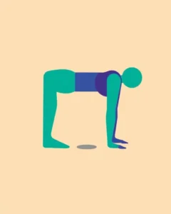 Celebrity-Approved Abs Workout: Say Goodbye to Belly Fat