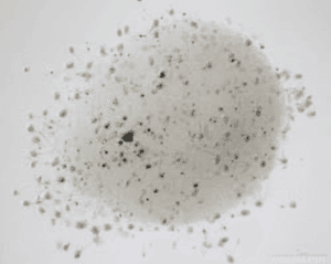 25 Minutes of Daily Exercise Can Slash Burnout Risk by 62% – Here’s How to Make It Work For You