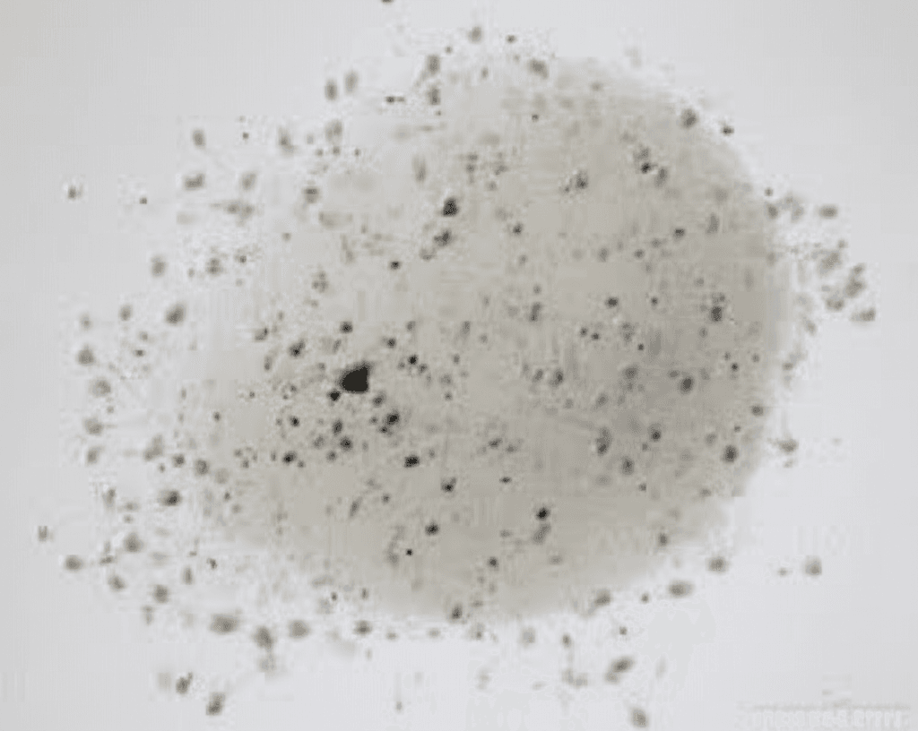 25 Minutes of Daily Exercise Can Slash Burnout Risk by 62% – Here’s How to Make It Work For You