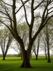 Weight Loss Unlocked: 3 “Laziest Ways” to Shed 10 Kilos Without Dieting, According to a Fitness Coach