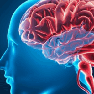 The Science Behind Fitness and Sharper Minds: How Exercise Boosts Academic Performance