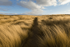 Mental Health & Mental Fitness: Why New Zealand Needs More Than Awareness This World Mental Health Day