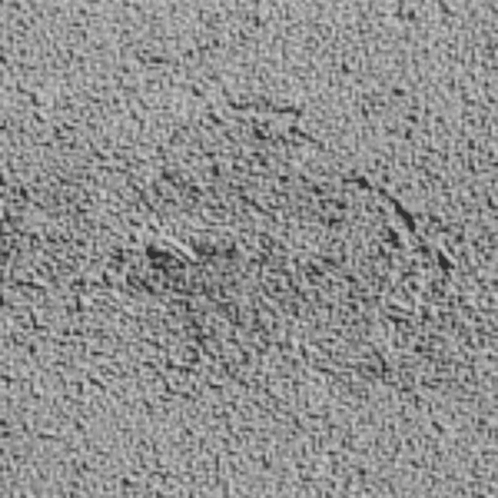 I Tried Ryan Reynolds’ Full-Body Workout – and it Might be My New Favourite Routine