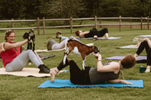 Goat Yoga at June Farms: A Whimsical Path to Fitness and Mental Wellness
