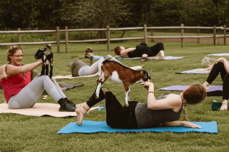 Goat Yoga at June Farms: A Whimsical Path to Fitness and Mental Wellness
