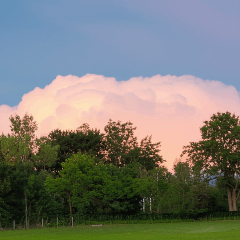 Guide to Physical Health Through Mental Fitness