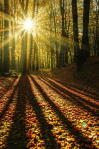 Fall Into Fitness with These Essential Tips