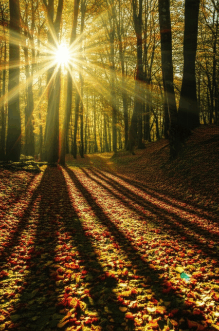 Fall Into Fitness with These Essential Tips